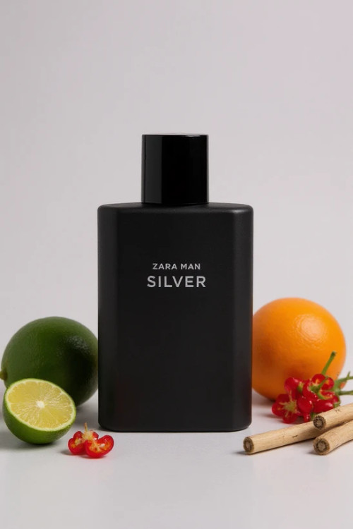 zara man silver